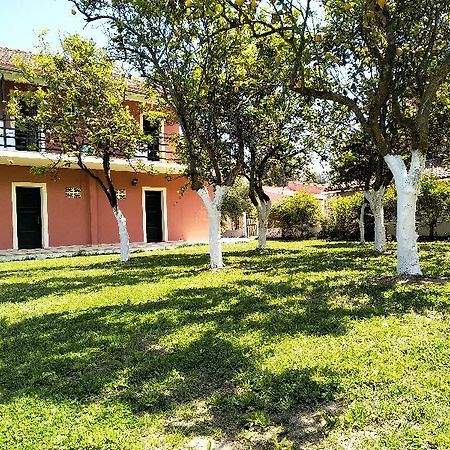 Ever Green Kavos Bagian luar foto
