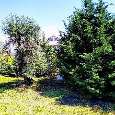 Ever Green Kavos Bagian luar foto