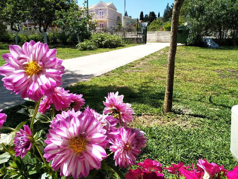 Ever Green Kavos Bagian luar foto